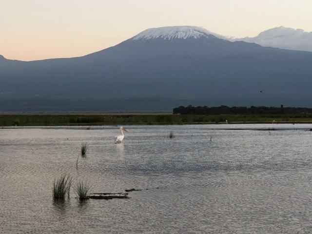Z pôvodného obrovského jazera Amboseli už neostalo nič. Zopár v