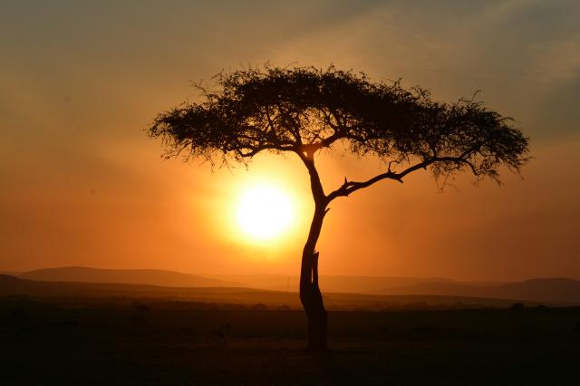 foto: Peter DROBA – 