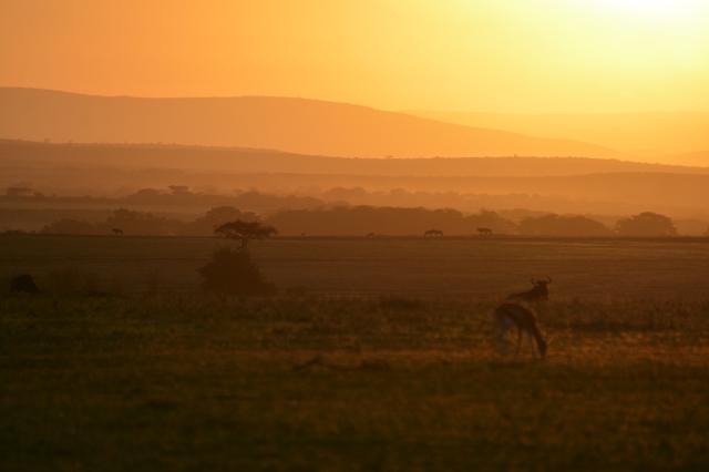 foto: Peter DROBA – 
