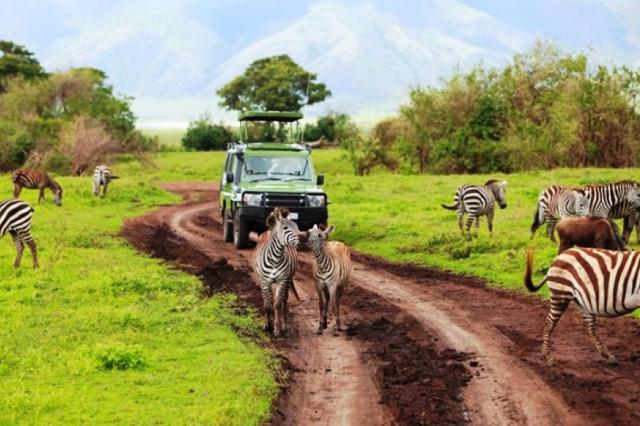 Ngorongoro - najkrajšie prírodné divadlo sveta, kde žije 25.000
