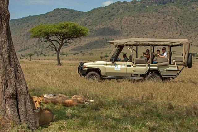 Ngorongoro - je tu najväčšia hustota šeliem na svete