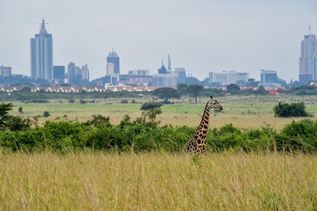 Toto je Nairobi. foto: Martin KARNIŠ – 