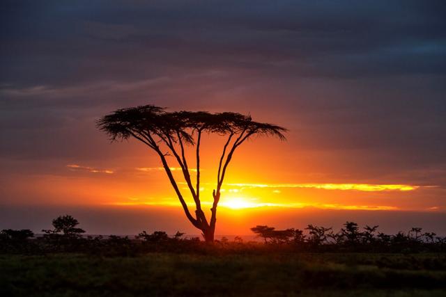 Serengeti - hovorí sa, že západy slnka sú najkrajšie v Afrike