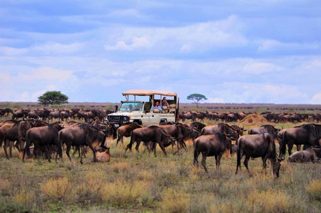 Masai Mara - konečne uprostred divočiny