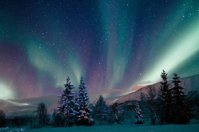 Podarí sa ju uvidieť aj nám?
foto: Zuzana HÁBEKOVÁ – 