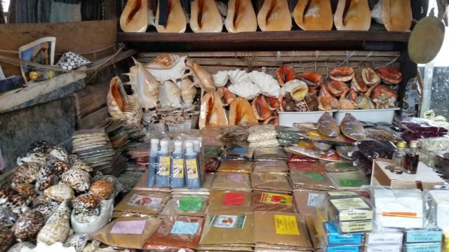 Koreniny sú jedným z hlavných suvenírov, ktoré si domov turisti