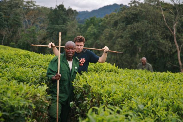 Luboš Fellner na čajovej plantáži neďaleko Nyungwe forest
