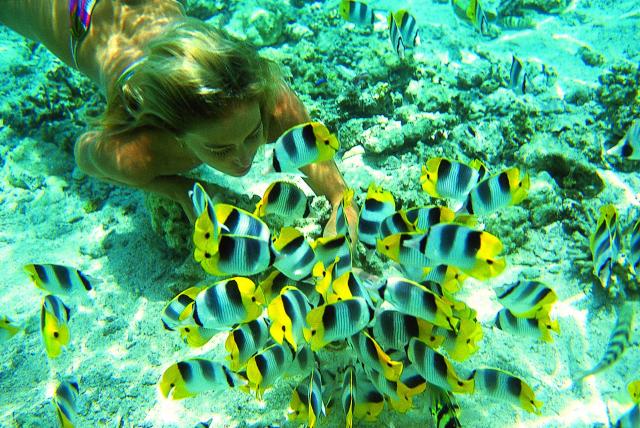 Exotické rybičky Vám budú na Krabi jesť priamo z ruky