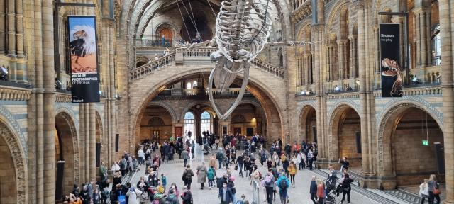 Úžasné múzeum, Museum of Natural history, ktoré si zamilujú dos