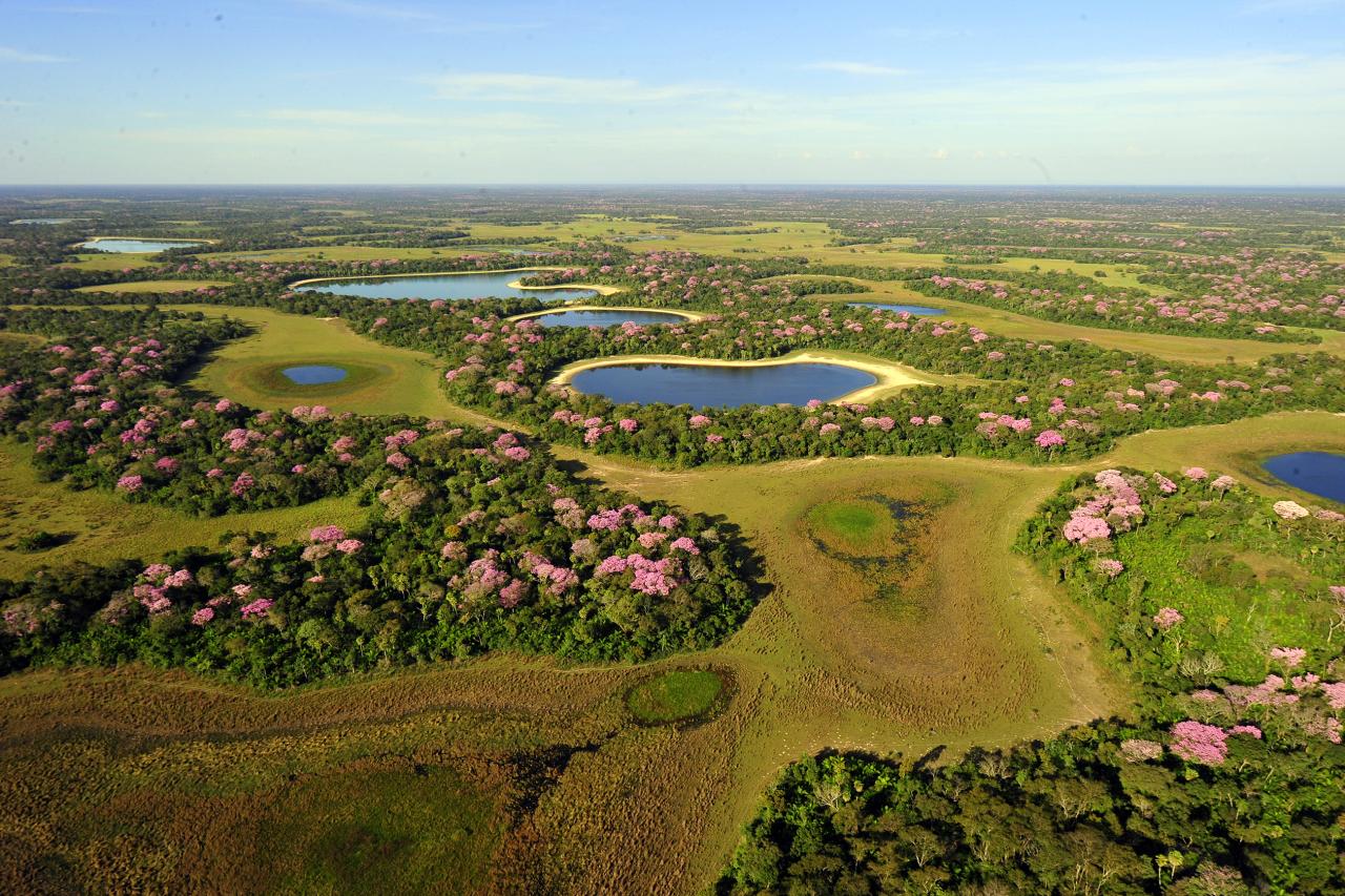 Argentína, Brazília a expedícia Pantanal