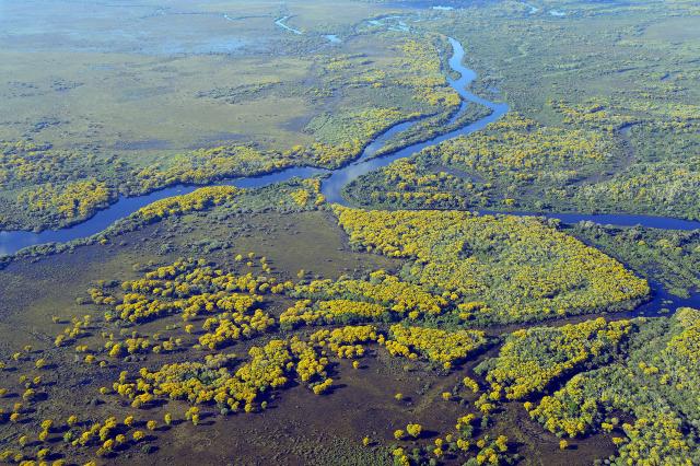 V období dažďov sa Pantanal mení na obrovský močiar.