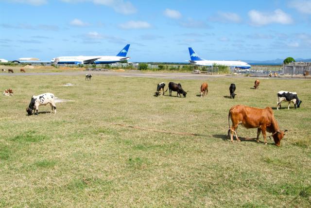 Réunion, Mayotte a Komorské ostrovy