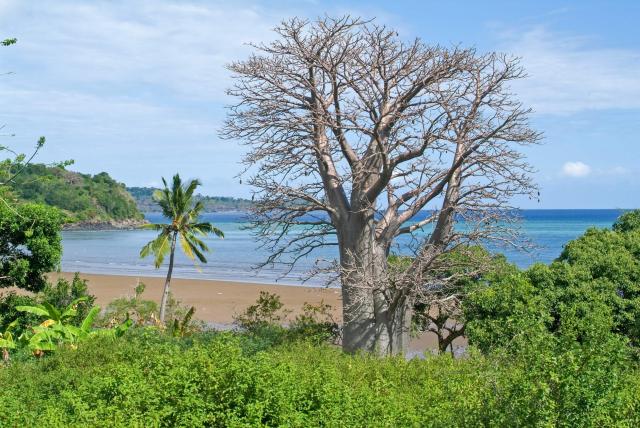Réunion, Mayotte a Komorské ostrovy