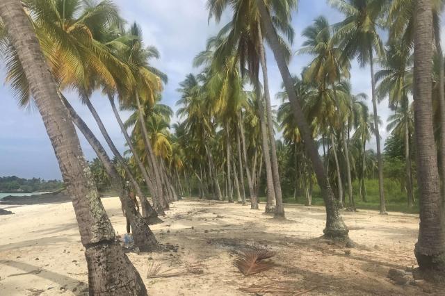 Réunion, Mayotte a Komorské ostrovy