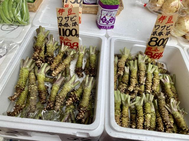 Viete ako vyzerá japonský chren? Toto je koreň wasabi!
foto: Ma