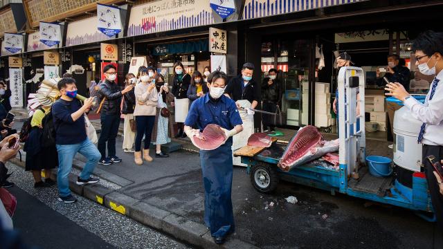 Ochutnáme najčerstvejšie sushi na Tsukiji markete.
foto:  archí
