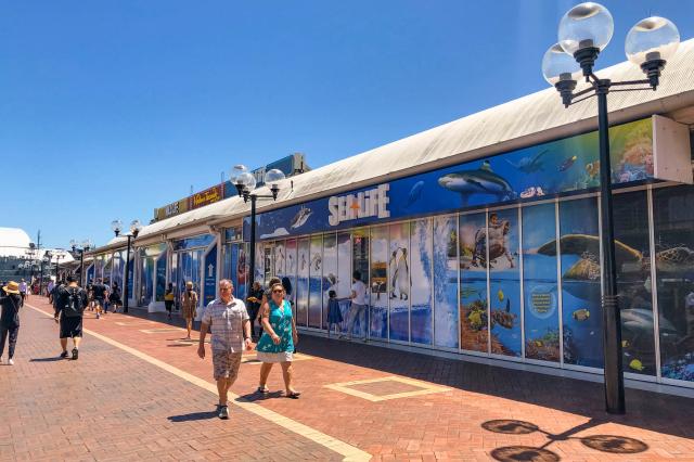 Akvárium Sealife v Sydney je považované za jedno z najlepších n