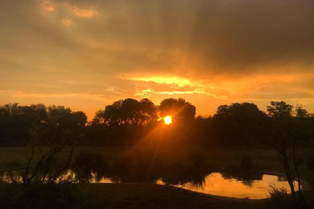 Prvý deň strávite na safari poobedie až do západu slnka. Foto: 