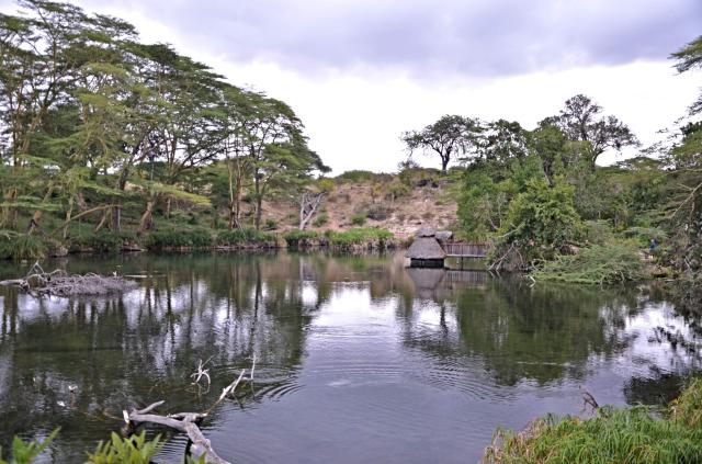 Najväčšou atrakciou okrem samotného safari je v Tsavo west súst