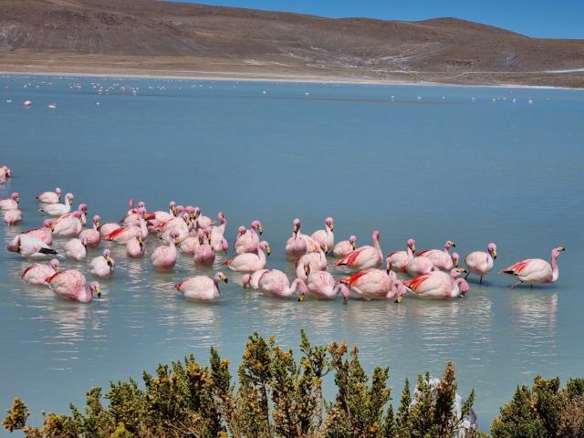 Na tomto zájazde prechádzame cez Salar de Uyuni a náhodnú ploši