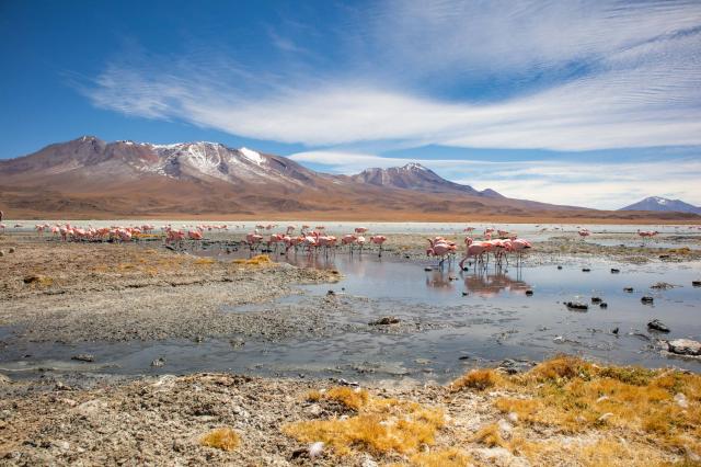 Fotografie ako z National Geographic si spravíte aj vy. foto: L