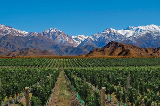 Najvyššie komerčne využívané vinice na svete, Mendoza. foto: ar