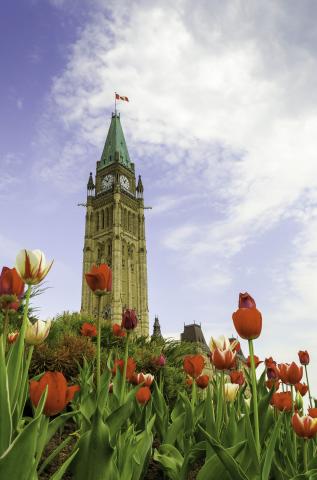 Krásna Ottawa