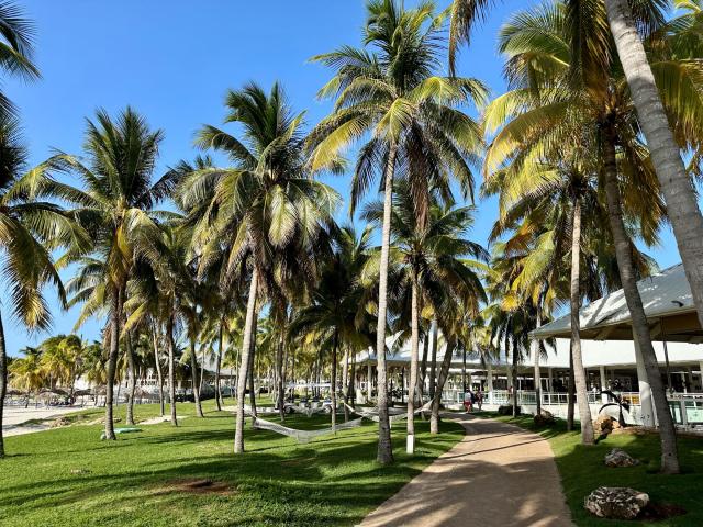 Hotel Paradisus sa nachádza v tropickej záhrade na konci polost