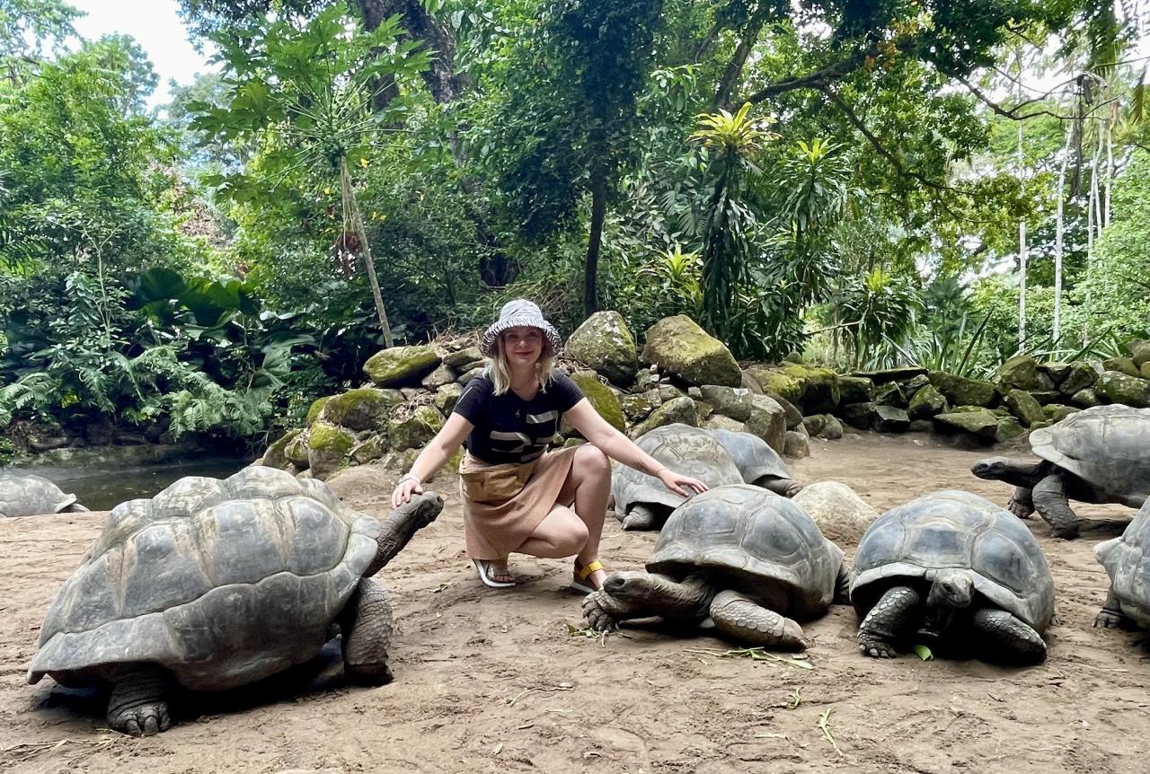 Korytnačka obrovská (Aldabrachelys gigantea) ktorej domovom je