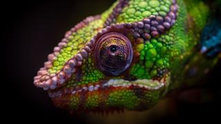 Seychely a Madagaskar
