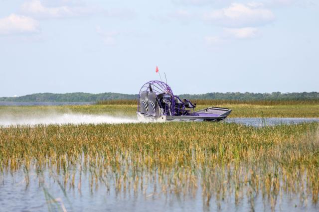 Jazda na takzvaných airboat po močiaroch Everglades je nezabudn