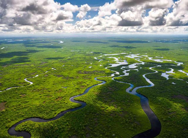 Národný park Eveglades sa nachádza v rozsiahlych bažinách. Z ve