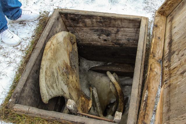Permafrostová chladnička. foto: Tomáš HUŠEK – 