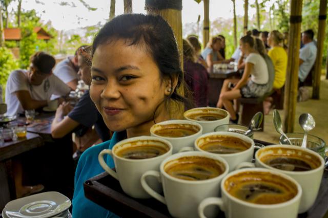 Ochutnávka snáď všetkých druhov káv a čajov, Bali.
FOTO: Ľuboš 