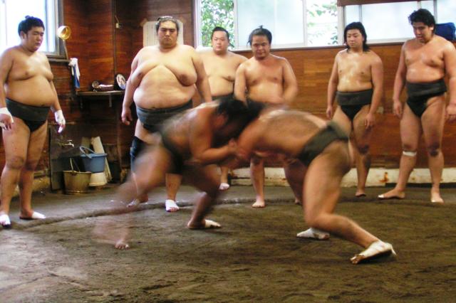  na tréningu sumo. 
foto: Ľuboš FELLNER — 