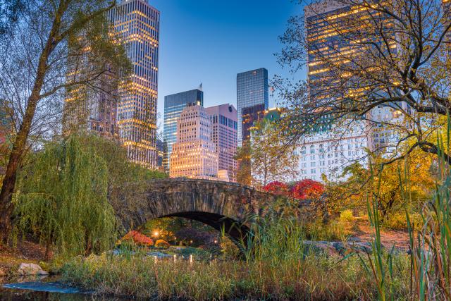 Central park je kus prírody uprostred mega mesta, ktorému sa ho