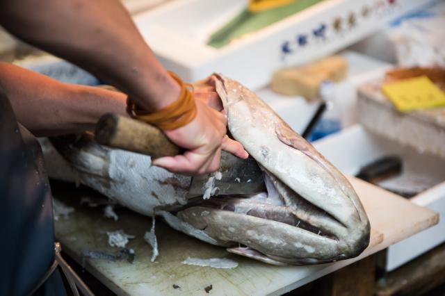 Na vonkajšom Tsukiji markete ochutnáme najčerstvejšie ryby a pl
