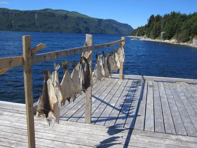 Národný park Gros Morne