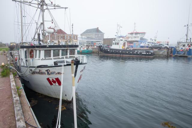Prístav v Saint Pierre a Miquelon. Fotografia: Ľuboš Fellner