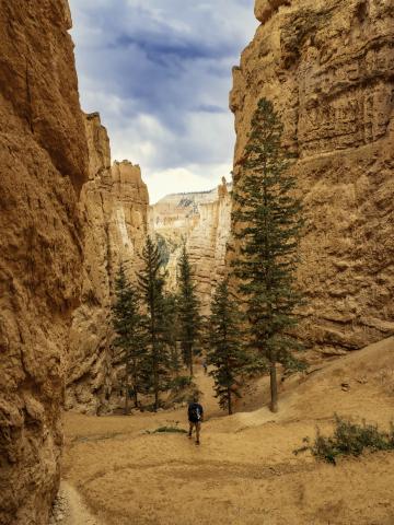 Bryce