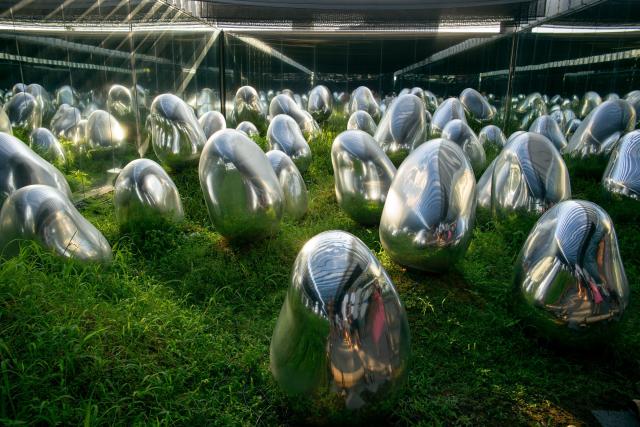 Navštívte expozíciu teamLab Borderless a zažijete nevídané. fot