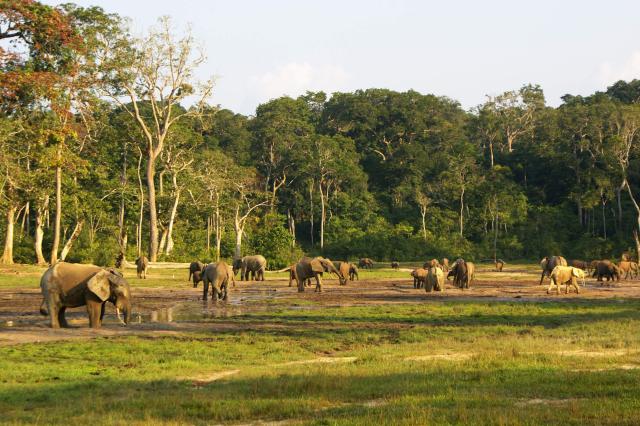 Vydáme sa aj na safari do neďalekého parku, kde je možné pozoro