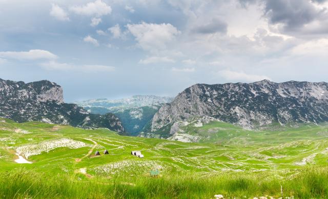 Svieža tráva a farebné kvety vytvárajú nádherný koberec, ktorý 