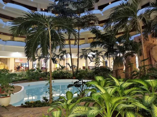 Všetky reštaurácie hotela Melia Varadero v balíku all inclusive