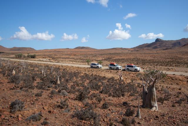Máme kvalitné autá, každý klient sedí pri okne a náš road trip 
