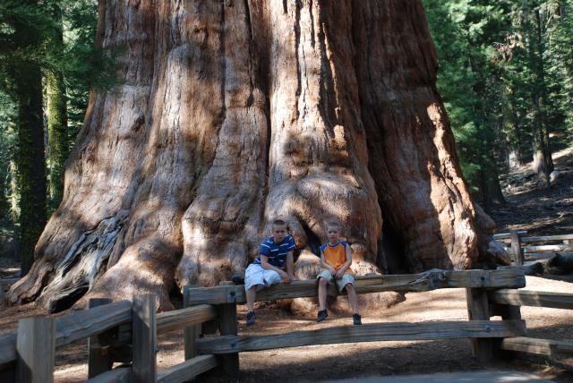 Yosemity
