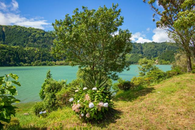 Popri brehoch Lagoa das Furnas, ktoré je typickým kráterovým ja
