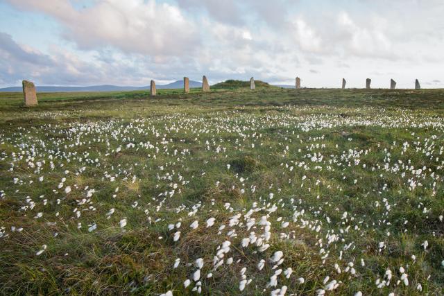 Popri jazere Loch of Harray sa dostaneme k Ring of Brodgar.  Vš