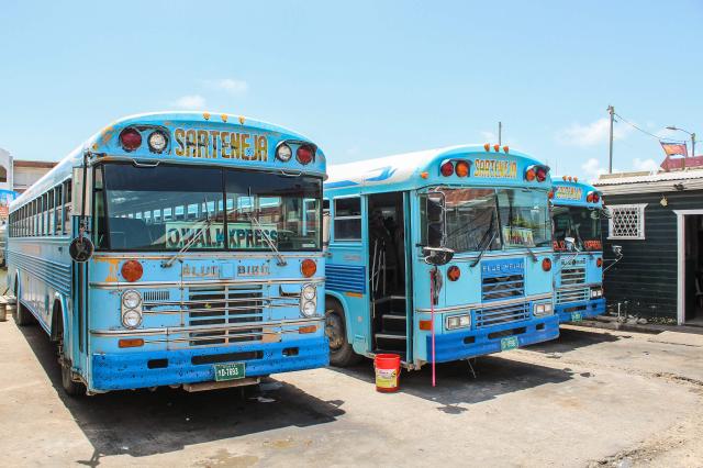 Odvezieme sa kúsok v takýchto farebných autobusoch? Viete odkia