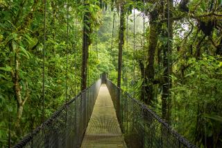 Banánové republiky (Nikaragua,Kostarika,Panama)